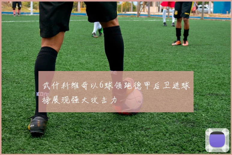 武什科维奇以6球领跑德甲后卫进球榜展现强大攻击力